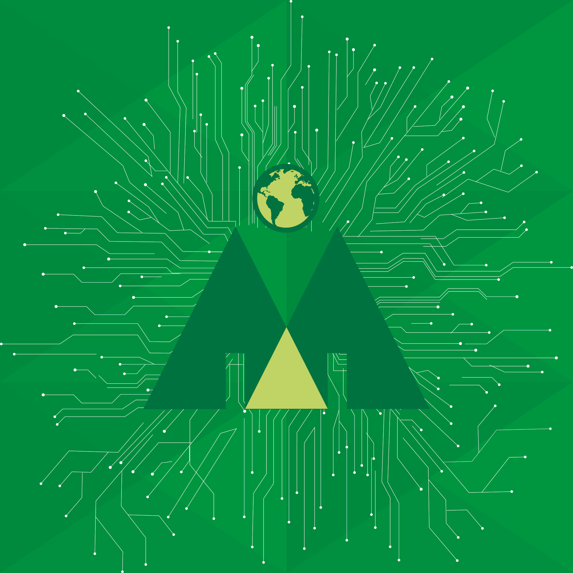 Terreno Santo Domingo