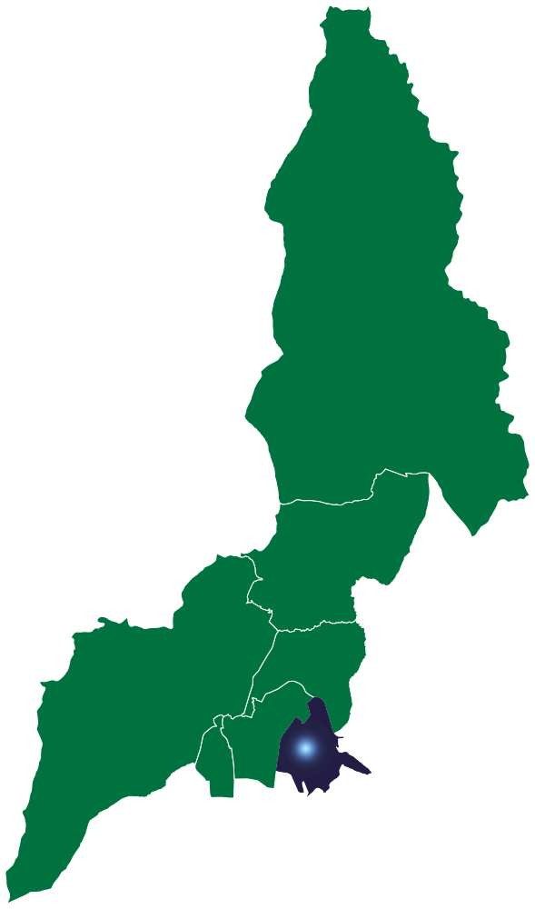 Comite del Pueblo