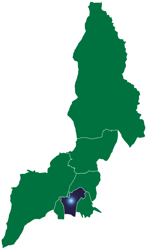 Ponceano