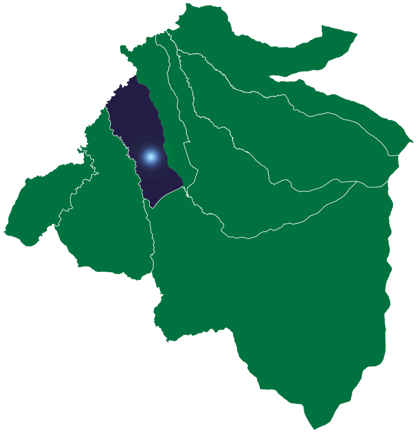 Puembo